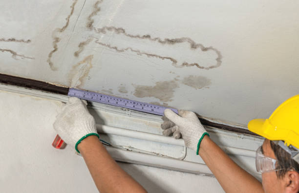 Reliable Water Damage contractor in Burkettsville, OH by Water Damage Irwin